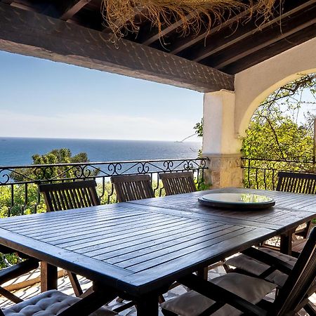 Villa Prestige Carqueiranne Exteriér fotografie